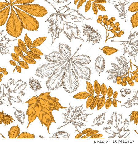 Seamless autumn pattern with autumn leaves on white, vector background 107411517