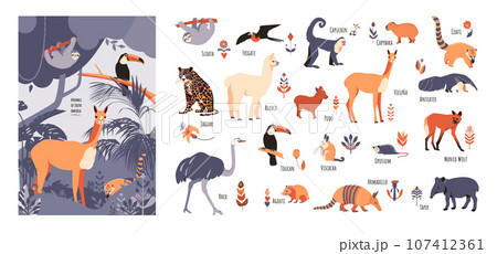 Set of South American animals with floral elements and captions. Vector illustration in hand drawn style isolated on white background 107412361