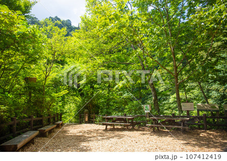 三頭山の登山道・休憩所(東京都西多摩郡檜原村) 三頭山の登山道・休憩所(東京都西多摩郡檜原村) 107412419