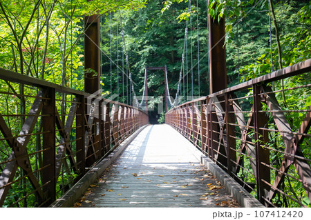 三頭山・滝見橋(東京都西多摩郡檜原村) 三頭山・滝見橋(東京都西多摩郡檜原村) 107412420