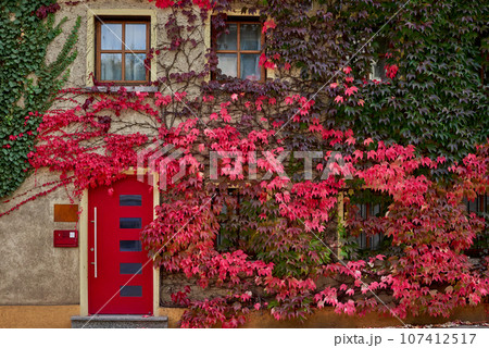 Sidewalk along houses and parked cars in an urban area with low-rise private houses. Suburban House among autumn trees. Large manicured lawn and landscaping. Private house in the suburbs. Vacation in Sidewalk along houses and parked cars in an urban area with low-rise private houses. Suburban House among autumn trees. Large manicured lawn and landscaping. Private house in the suburbs. Vacation in 107412517