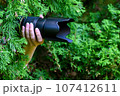 the paparazzi is hiding in the green bushes with a black camera. 107412611