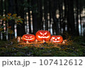 a group of carved pumpkins perched on top of a mound at the edge of a forest. 107412612