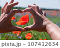 A heart is folded with fingers on a background of a red poppy. 107412634