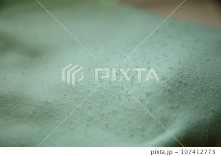 A piece of green fabric with pellets. Clothing with pellets, closeup. A piece of green fabric with pellets. Clothing with pellets, closeup. 107412773