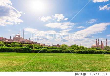 Park of Cairo and view on the Ali Pasha Mosque and The Mosque-Madrasa of Sultan Hasan, beautiful scenery of Egypt Park of Cairo and view on the Ali Pasha Mosque and The Mosque-Madrasa of Sultan Hasan, beautiful scenery of Egypt 107412804