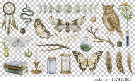 Mystical forest set. Watercolor illustration of an owl and moths. Hand drawn clip art bundle on isolated background. Drawing of Witch Magic collection. Sketch of butterflies and dream catcher. Mystical forest set. Watercolor illustration of an owl and moths. Hand drawn clip art bundle on isolated background. Drawing of Witch Magic collection. Sketch of butterflies and dream catcher. 107412806