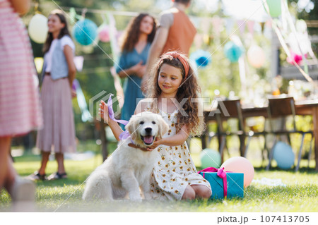 Beautiful birthday girl received a puppy as a birthday gift. Beautiful birthday girl received a puppy as a birthday gift. 107413705