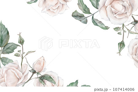 Watercolor white tea rose frame. hand drawing illustration , isolated white background, flower clipart. for design wedding invitations, anniversary, birthday, postcards, greetings 107414006