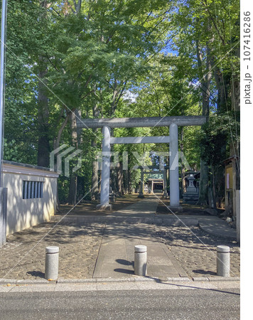 南荻窪天祖神社 南荻窪天祖神社 107416286