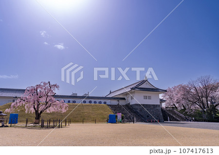 山形県霞城公園内の山形城址二ノ丸東大手門と桜 107417613