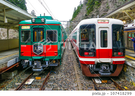 極楽橋駅に停車中の「天空」と発車する「こうや」 極楽橋駅に停車中の「天空」と発車する「こうや」 107418299
