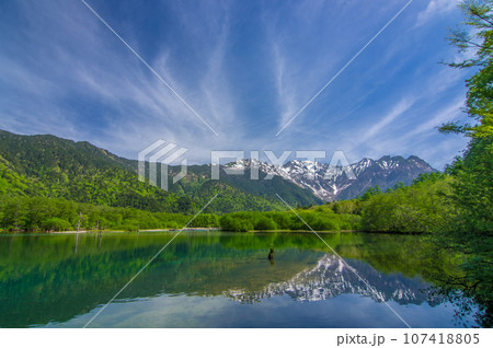 【鮮やかな新緑の大正池】初夏の上高地 【鮮やかな新緑の大正池】初夏の上高地 107418805
