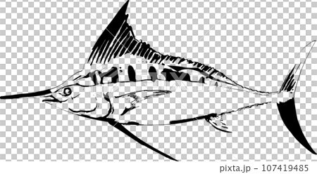 カジキマグロの魚拓のイラスト 107419485