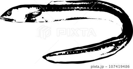 アナゴの魚拓のイラスト 107419486
