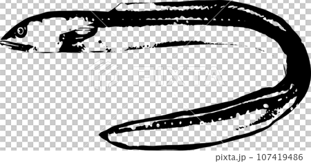 アナゴの魚拓のイラスト 107419486