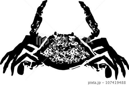 カニの魚拓のイラスト カニの魚拓のイラスト 107419488