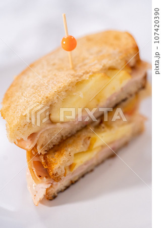 Freshly made provolone and apple grilled cheese sandwich. Freshly made provolone and apple grilled cheese sandwich. 107420390