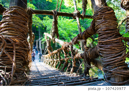 祖谷のかずら橋・徳島県三好市の西祖谷山村善徳 祖谷のかずら橋・徳島県三好市の西祖谷山村善徳 107420977