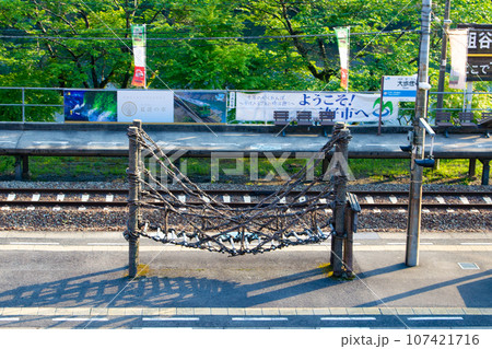 大歩危駅・徳島県三好市西祖谷山村徳善西 107421716