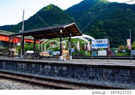 大歩危駅・徳島県三好市西祖谷山村徳善西 大歩危駅・徳島県三好市西祖谷山村徳善西 107421725