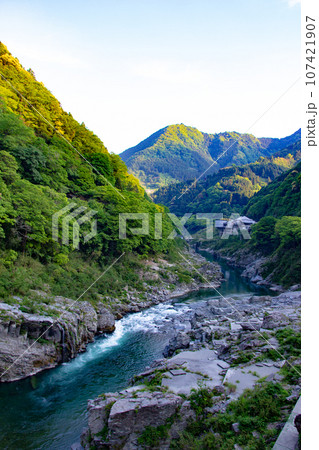 大歩危峡・徳島県三好市西祖谷山村字徳善 大歩危峡・徳島県三好市西祖谷山村字徳善 107421907