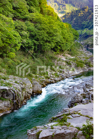 大歩危峡・徳島県三好市西祖谷山村字徳善 大歩危峡・徳島県三好市西祖谷山村字徳善 107421913