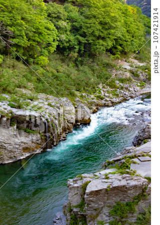 大歩危峡・徳島県三好市西祖谷山村字徳善 107421914