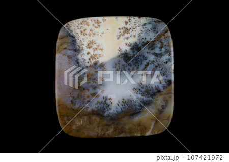 デンドリティック・アゲート 風景を宿す石 デンドリティック・アゲート 風景を宿す石 107421972