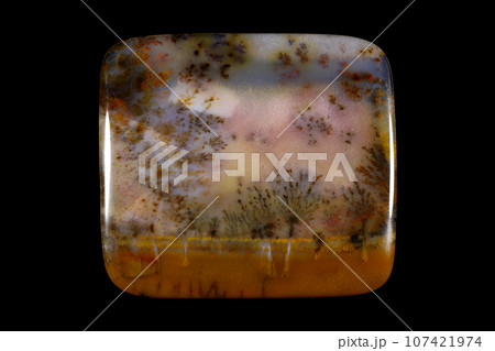 デンドリティック・アゲート 風景を宿す石 107421974