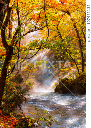 奥入瀬渓流(秋) 奥入瀬渓流(秋) 107423133