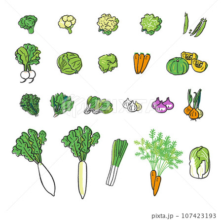 秋冬撒き野菜大全　セット　イラスト素材 107423193