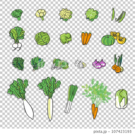 秋冬撒き野菜大全　セット　イラスト素材 107423193