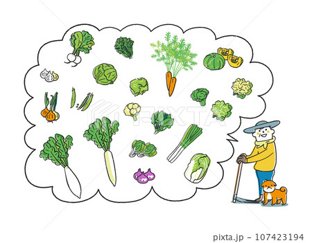 農家が語る秋冬撒き野菜　セット　イラスト素材 107423194