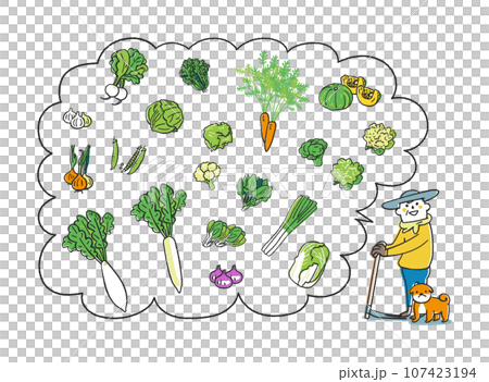農家が語る秋冬撒き野菜　セット　イラスト素材 107423194