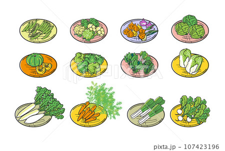 秋冬撒き野菜　ざるに乗せられた野菜の束　セット　イラスト素材 107423196