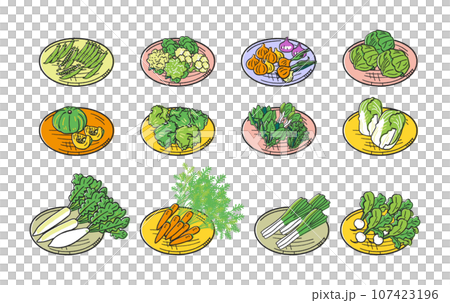 Autumn/winter sowing vegetables Bunch of vegetables on a colander set Illustration material 107423196