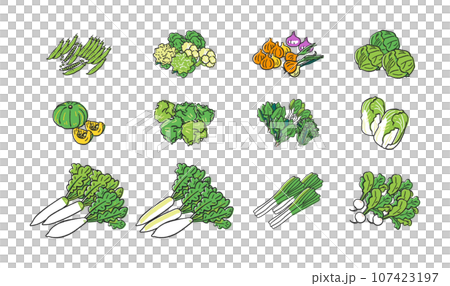 Autumn/winter sowing vegetables bunch of vegetables set illustration material 107423197