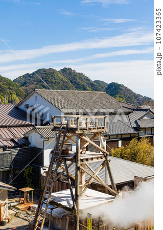 早春の伊豆河津　峰温泉大噴湯公園 107423365