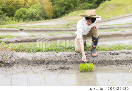 農家 農業 田植え 農家 農業 田植え 107423489