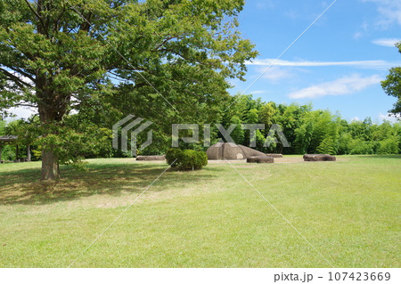 宍道湖ふれあいパークの景色 宍道湖ふれあいパークの景色 107423669