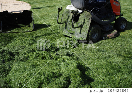 Lawn mower on grass in garden, 107423845