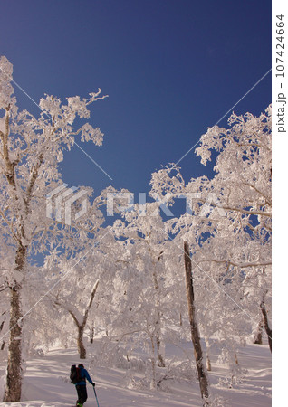 北海道バックカントリー　青空と冬の羊蹄山 107424664