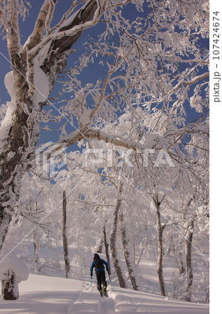 北海道バックカントリー　青空と冬の羊蹄山 107424674