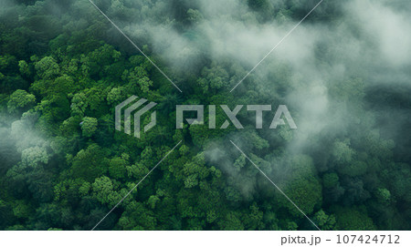 上空から見た霧に包まれた森の風景「AI生成画像」 107424712