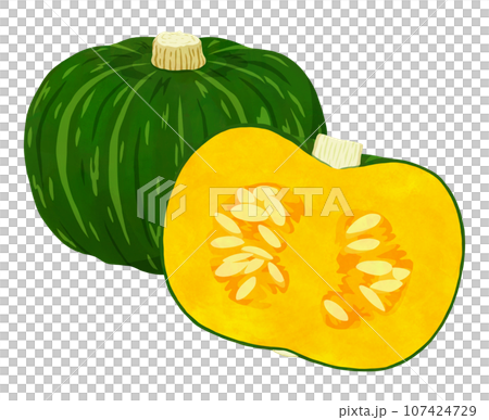 掛け軸 南瓜(かぼちゃ) 蟋蟀(こおろぎ)絵 掛け軸 南瓜(かぼちゃ) 蟋蟀