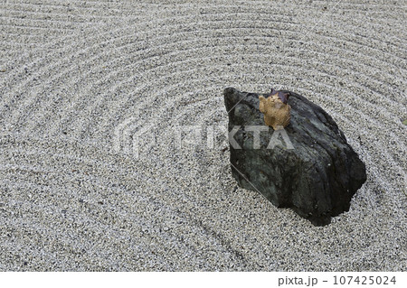 聖護院門跡 107425024