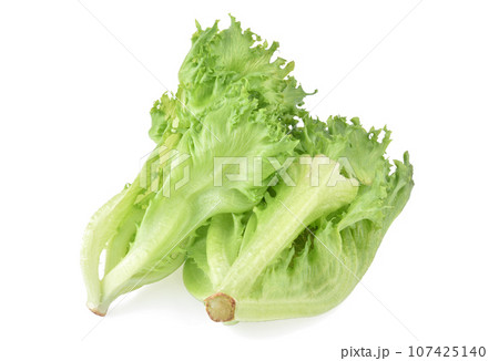 Fresh lettuce isolated on white background. 107425140