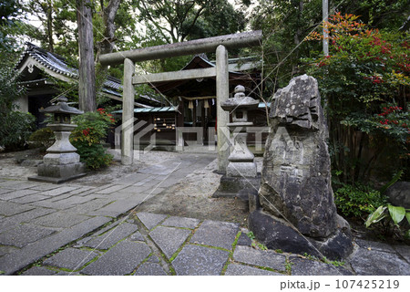 岡崎神社 雨社 岡崎神社 雨社 107425219