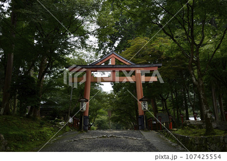 日吉大社　西本宮　山王鳥居（合掌鳥居） 107425554